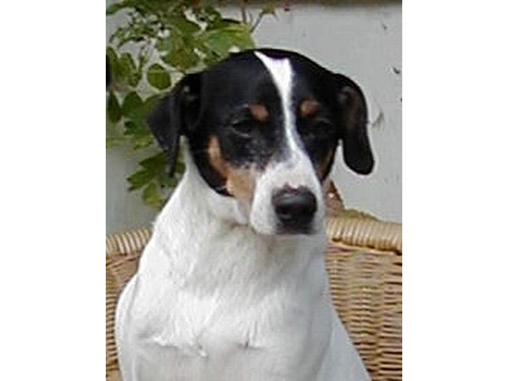 {{currentPhoto.altText}} billede {{currentPhoto.number}}