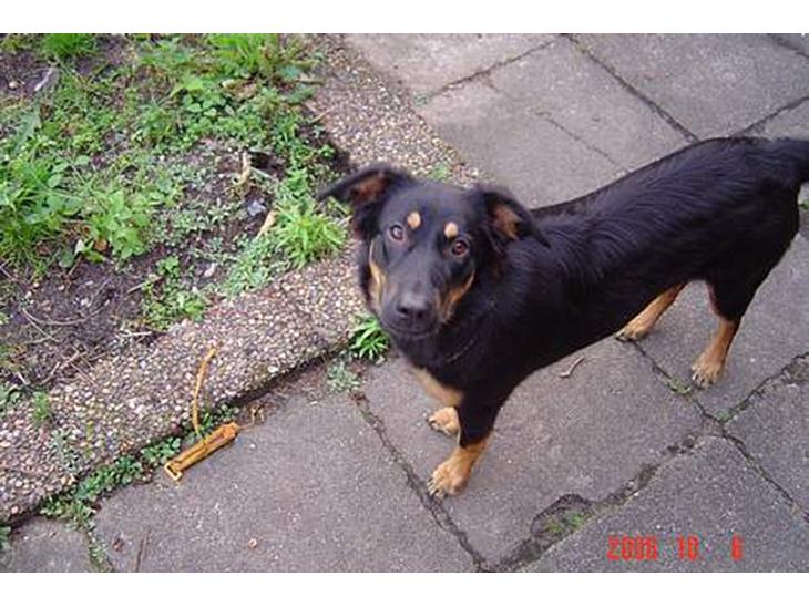 {{currentPhoto.altText}} billede {{currentPhoto.number}}