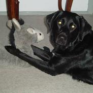 Blanding af racer Mathilde