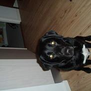 Blanding af racer Mathilde