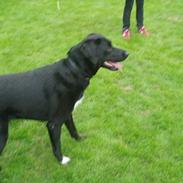 Blanding af racer Mathilde