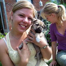 Blanding af racer Mira