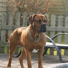 Blanding af racer arko
