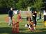 Dansk svensk gaardhund Awesome Spunk - Til agility