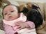 Bullmastiff Brak's Nagako Kuni/Bonnie - 26/03-2008 mine to tøzer