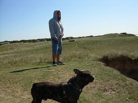 Fransk bulldog Sylvester R.I.P 2011 billede 8