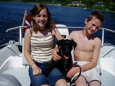 Labrador retriever Mille - Min anden sejltur med min elskede familie. billede 12