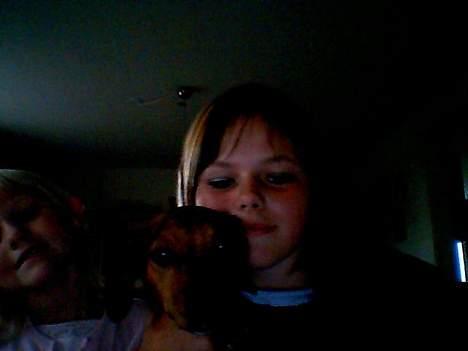Blanding af racer Fie *Bortgivet* - Mig, min kusine og Min dejlige Fie<3 billede 3