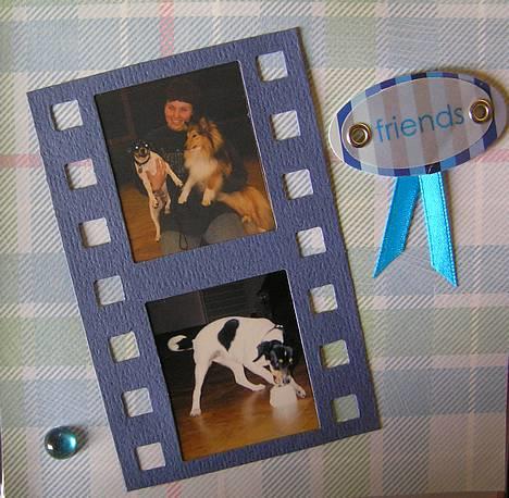 Dansk svensk gaardhund Bella *Himmelhund* - Fra min bella-scrapbog. Billeder taget ved hvalpetræning. Øverst sammen med vores venner Soccer og Margit, nederst i færd med at løse den svære opgave at få fat i godbidden under koppen. billede 14