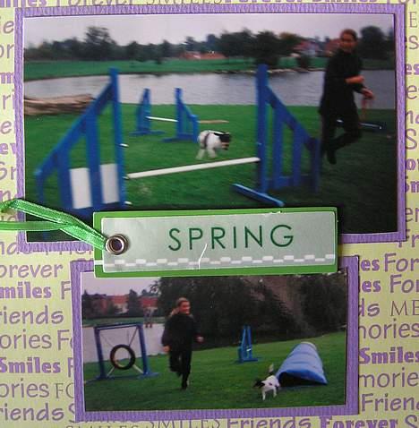 Dansk svensk gaardhund Bella *Himmelhund* - Fra min bella-scrapbog. Til agilitytræning i HHV. billede 15