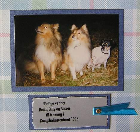 Dansk svensk gaardhund Bella *Himmelhund* - Fra min bella-scrapbog. På gåtur sammen med hendes gode venner Billy og Soccer. billede 16