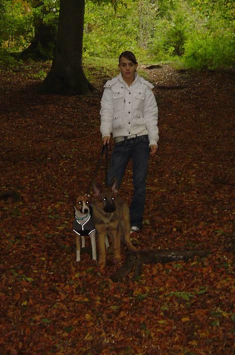 Blanding af racer Bacardi :)  - De tre flotte billede 13