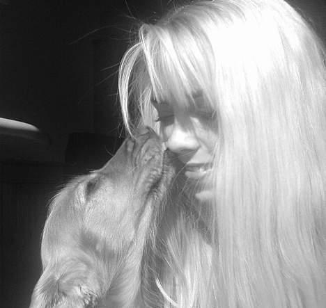 Cocker spaniel Frida billede 20