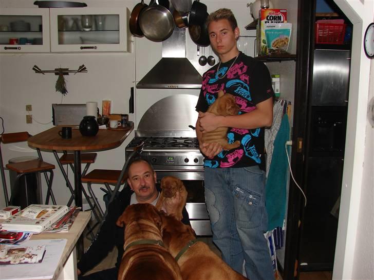 Dogue de bordeaux Freja - Død marts 2012. - Man kan da heller ikke slippe ham Tjalfe af syne et øjeblig, - straks er han ude og føjte,- og jeg er blevet "Faster" billede 20