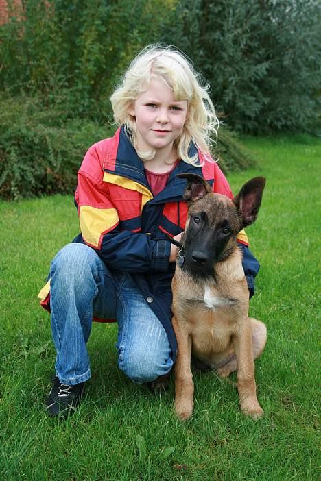 Malinois Søholms Cody  * DØD * - 21/10-06: Camilla og Cody ;o) billede 9