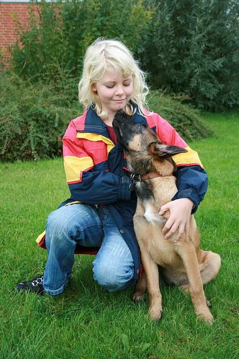 Malinois Søholms Cody  * DØD * - 21/10-06: To rigtig gode venner... billede 10