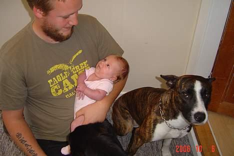 Blanding af racer thaiya *R.I.P* billede 13