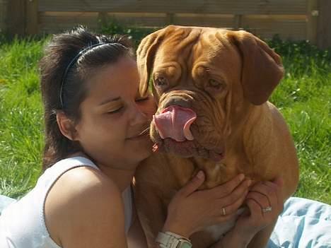 Dogue de bordeaux Thaliyah - R.I.P. min tøs - Thaliyah sammen med Stina billede 9
