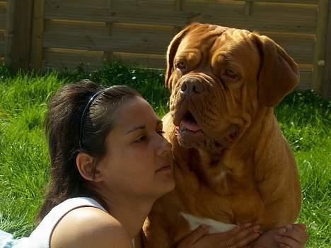 Dogue de bordeaux Thaliyah - R.I.P. min tøs - Thaliyah sammen med Stina billede 10
