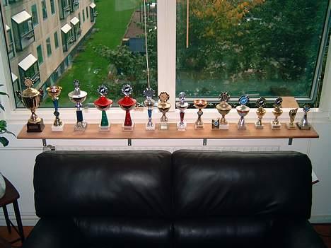 Hvid schæfer Bulder er Død billede 17