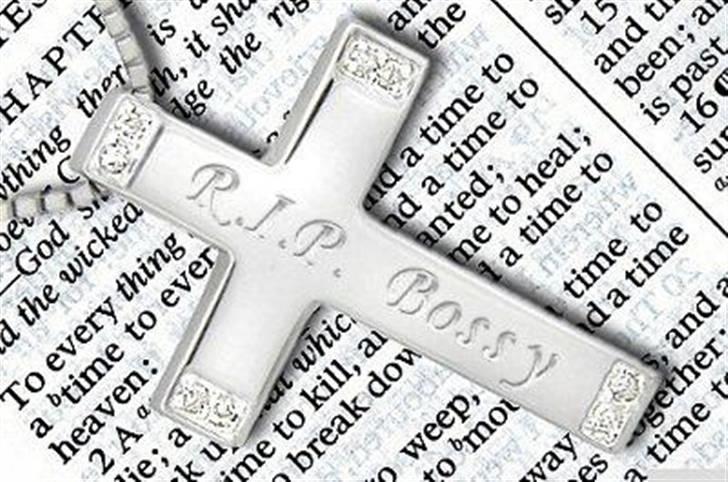 Amerikansk staffordshire terrier *Bossy* - 18.  billede 18