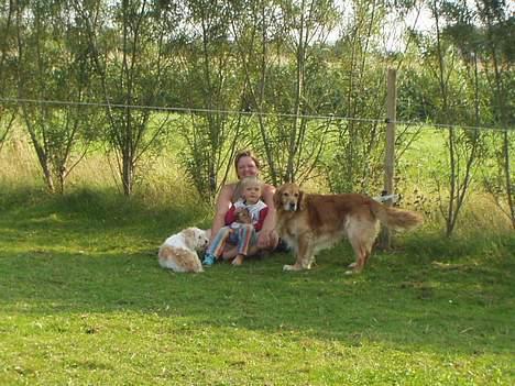 Blanding af racer charlie stille sovet ind - familiefoto billede 5