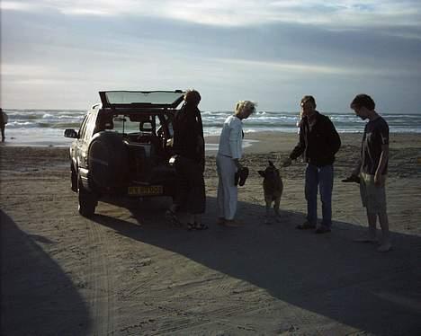 Schæferhund Erko von der Strothheide - sammen med min farmor og farfar ved stranden billede 9