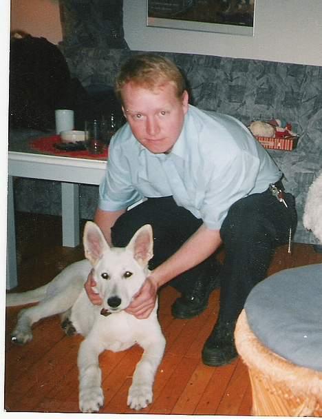 Hvid schæfer Debbie - Lille Debbie, skulle passes hos farmor for første gang! billede 2