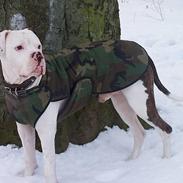 Blanding af racer tyson