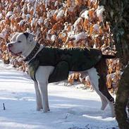 Blanding af racer tyson