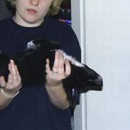 Blanding af racer Trunte R.I.P min skat