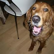 Blanding af racer Sally