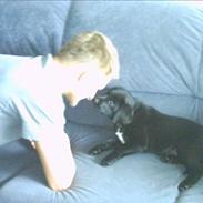 Labrador retriever Soffi (død d. 20/10-05)