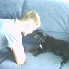 Labrador retriever Soffi (død d. 20/10-05)