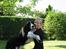 Engelsk springer spaniel Mirocchi (Louis) - Gået bort - Hold fast hvor jeg elsker ham, han var min BEDSTE ven <´3