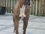 Amerikansk bulldog Baloo, 28/3 