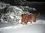 Dogue de bordeaux Frede 2001 - 2007