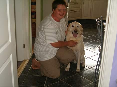 Labrador retriever Olivar billede 7