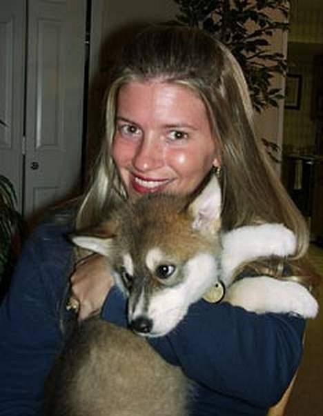 Blanding af racer Ulvehunden Venus billede 5