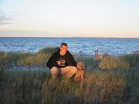 Weimaraner Milos - Mig og min far. billede 3