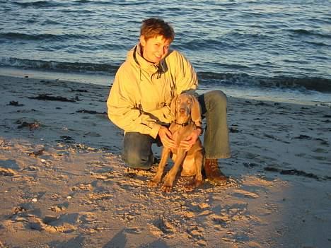 Weimaraner Milos - Mig og min mor. billede 7