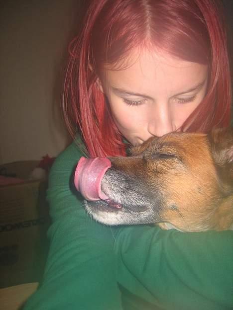 Blanding af racer Bruno billede 2