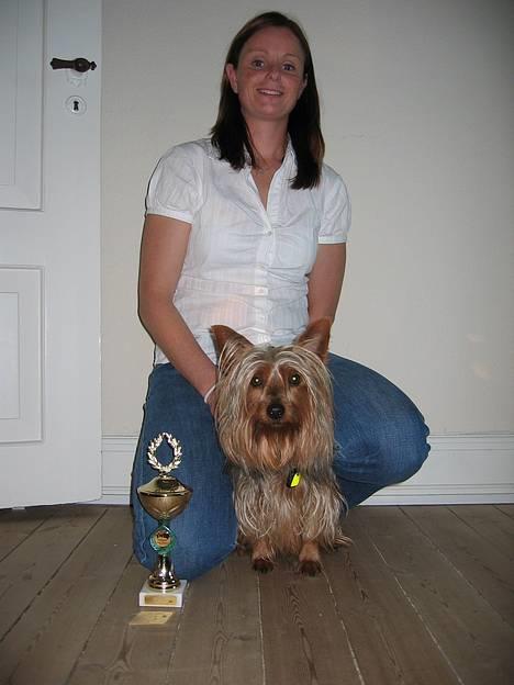 Australian silky terrier Quick Sílk´s Barney - Her er jeg sammen med mor og en af de pokaler vi har vundet i agility billede 9