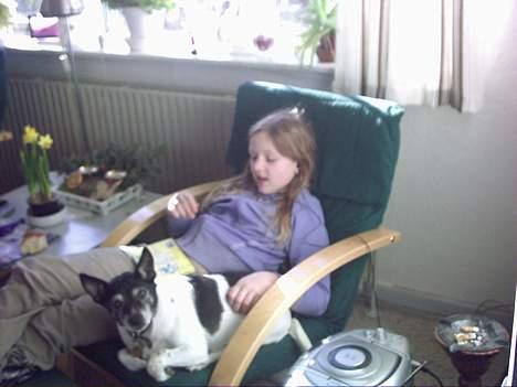 Dansk svensk gaardhund Pjevs *død* - dem igen billede 4