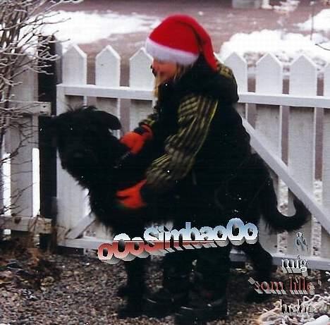 Blanding af racer Simba billede 7