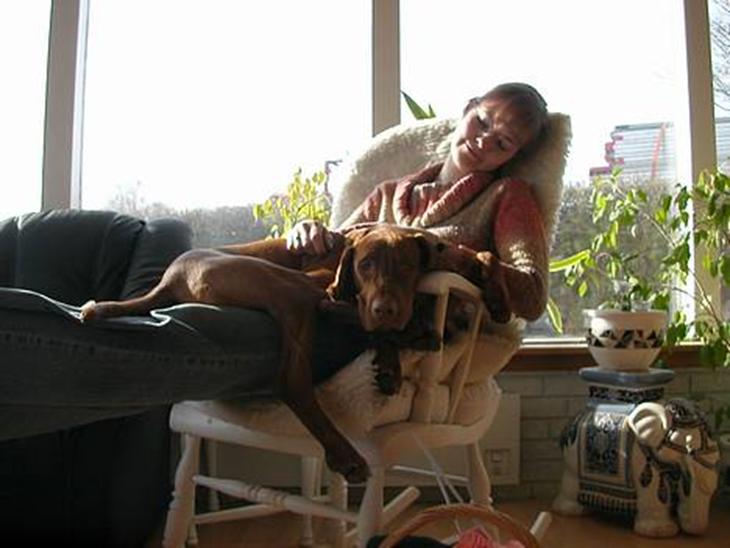 {{currentPhoto.altText}} billede {{currentPhoto.number}}