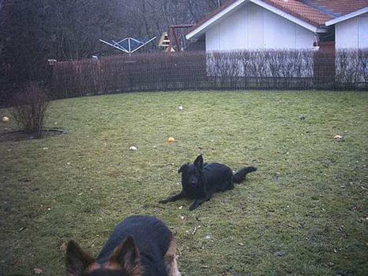 {{currentPhoto.altText}} billede {{currentPhoto.number}}