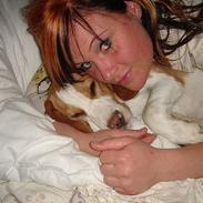 Beagle lucky strike