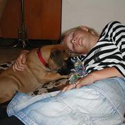 Bullmastiff Maggie