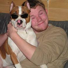 Amerikansk staffordshire terrier midi